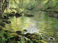 Landscapes - Sold (11)